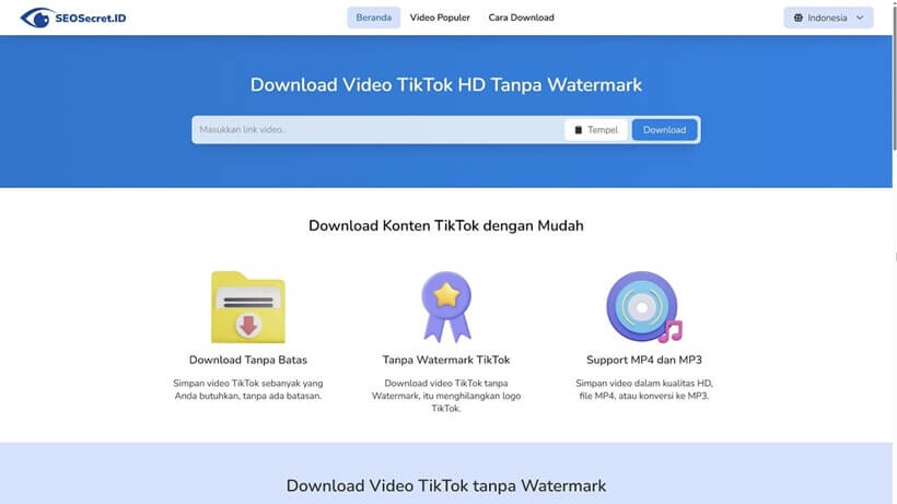 Tool Downloader Video TikTok Tanpa Watermark