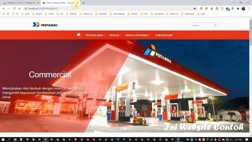 script web company profile